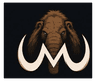 Mammoth Promo